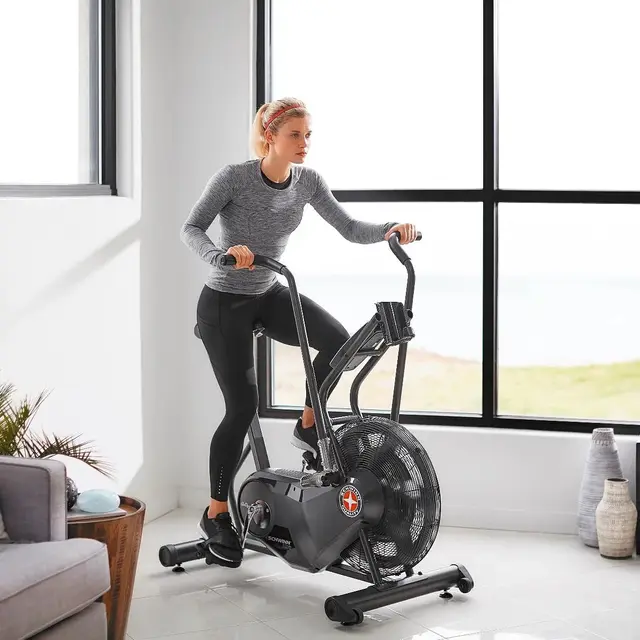 Schwinn Airdyne AD6 