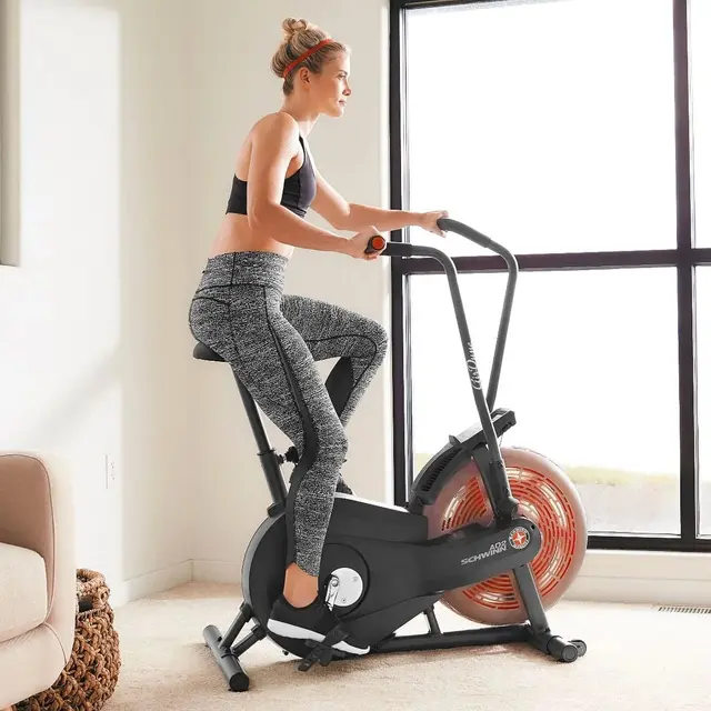 Schwinn Airdyne AD2 