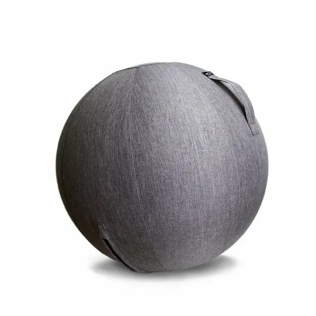 Abilica FitnessBall Cover 