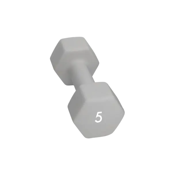 Abilica DumbBell 5 kg 