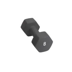 Abilica DumbBell 8 kg