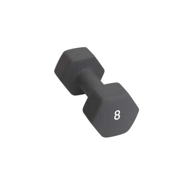 Abilica DumbBell 8 kg 