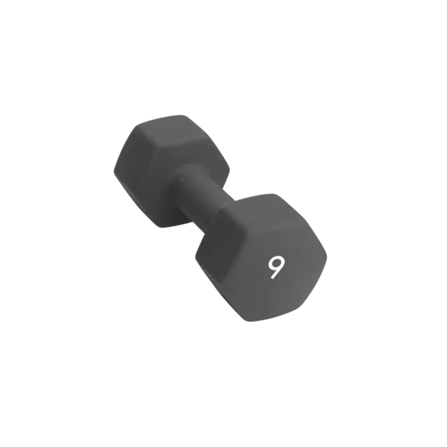 Abilica DumbBell 9 kg 