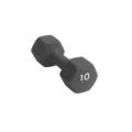 Abilica DumbBell 10 kg