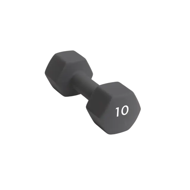 Abilica DumbBell 10 kg 