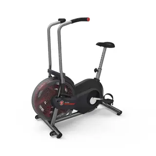 Schwinn Airdyne AD2