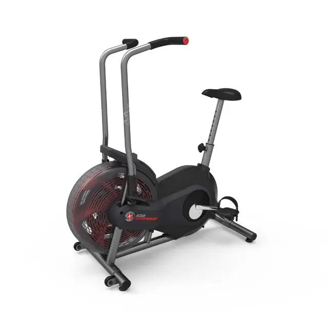 Schwinn Airdyne AD2 